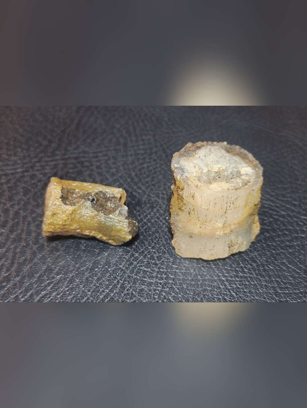 Crystalized Rock Fossil (?) Piece